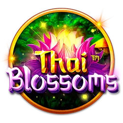 5win777 bz bet cassino on-line