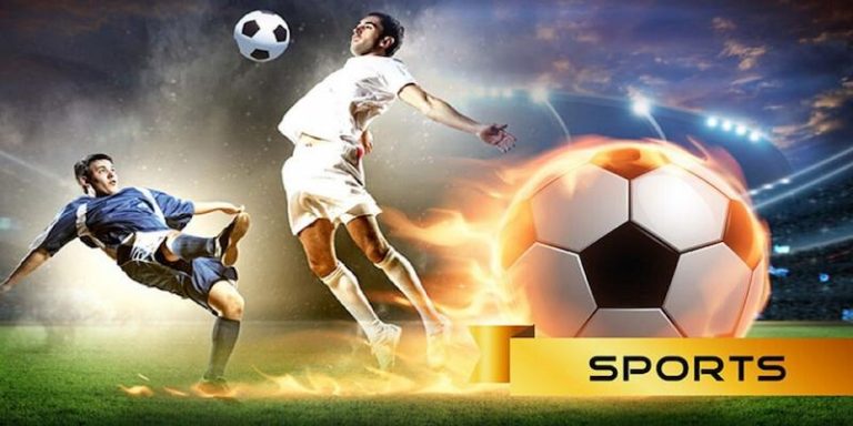 5win777 Descubra o vibrante mundo dos esportes online em